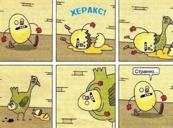 E1dc5fa1c7 novye-memy-i-smeshnye-kartinki-s-nadpisjami-19