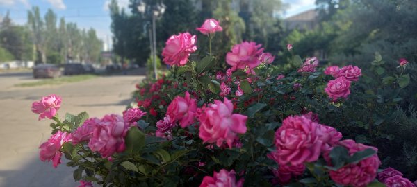 picture_389236980