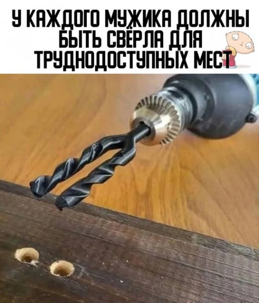 picture_389329991