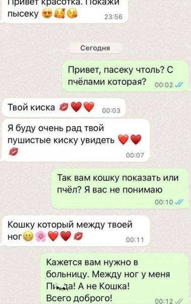Что хотел