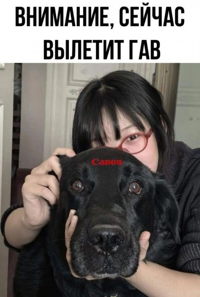 Sbornik-prikolnyh-kartinok-i-zabavnyh-kommentariev-9