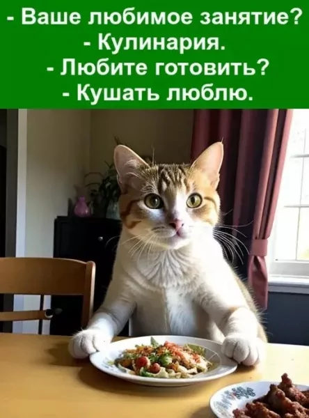 Кушать люблю