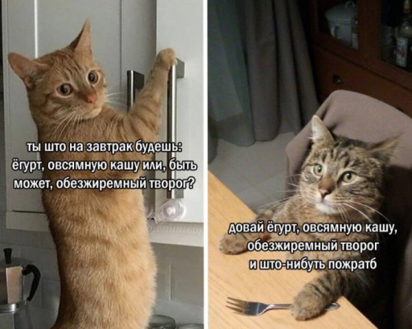 c35b 000000000000000000