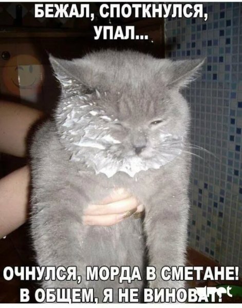 Я не виноват!