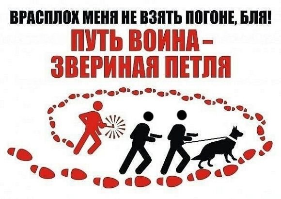 Ход