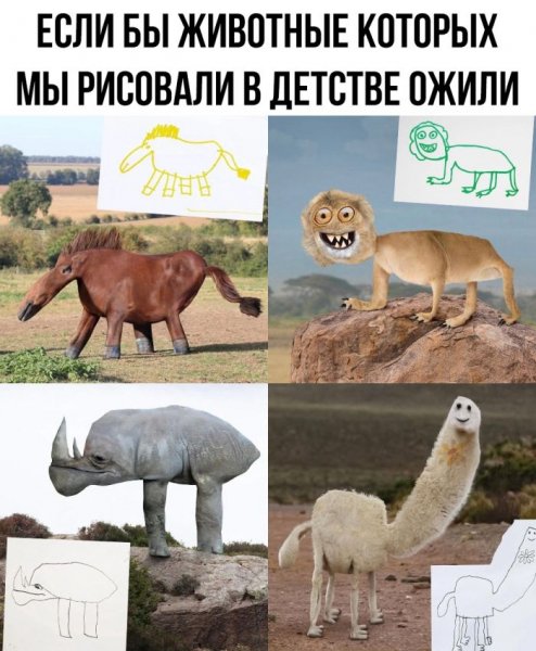 Sbornik-prikolnyh-kartinok-i-zabavnyh-kommentariev-10