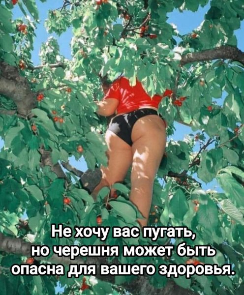 IMG-3aae752a6434e13b97278d20952d9bb7-V