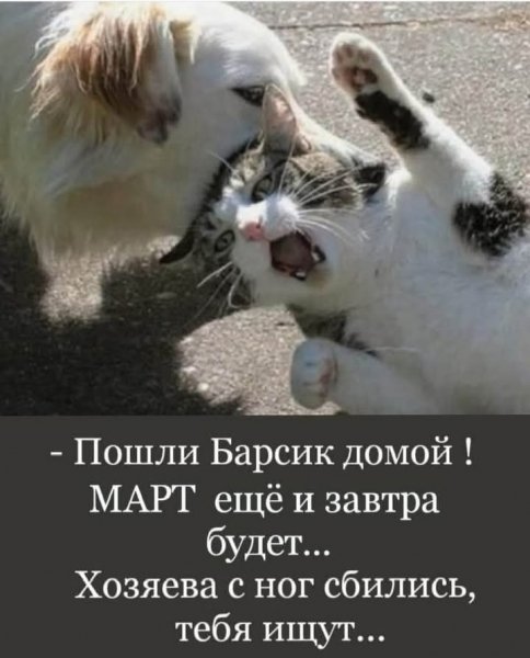 IMG 20250327 105349
