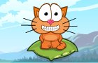 Cat Around the World Alpine Lakes
