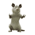 5a13c86ab0949490c9e0faebfb610de0