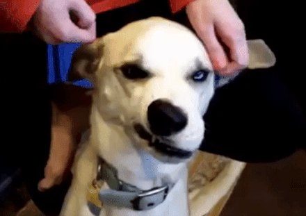 gifs 06