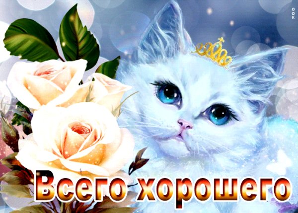 Vsego-khoroshego-s-rozami-116593
