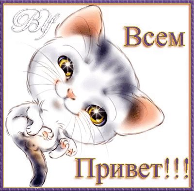file_77206816