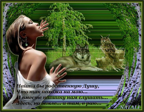 Найти бы родственную Душу...