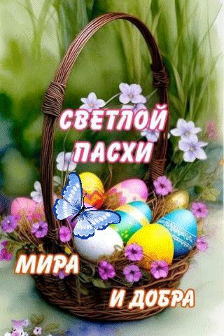 file_96553044