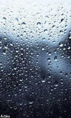 file_58435138