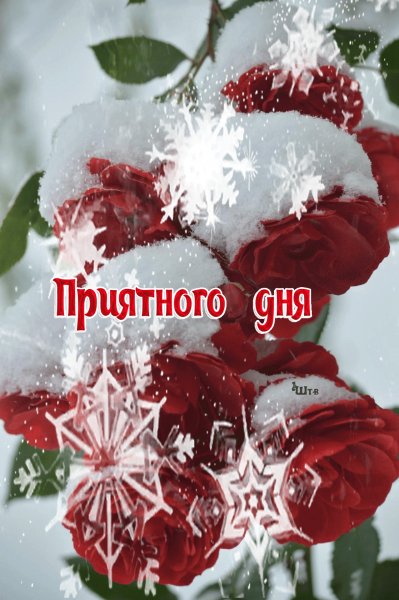 file_80344869