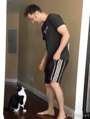 прикольный котэ