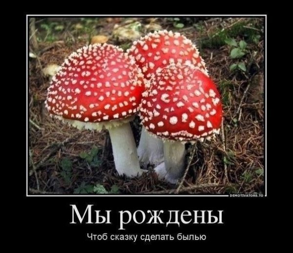 file_100316156