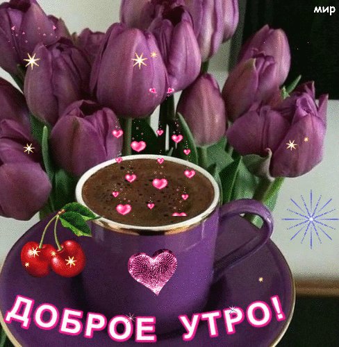 file_81013821