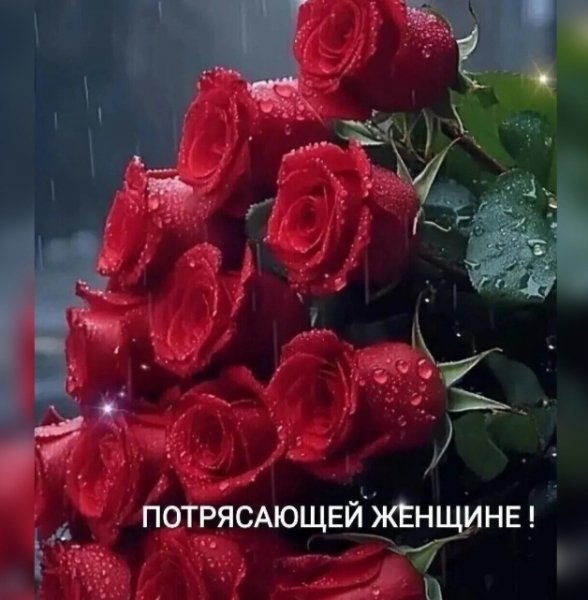file_98277279