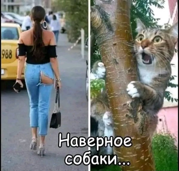 file_98087677