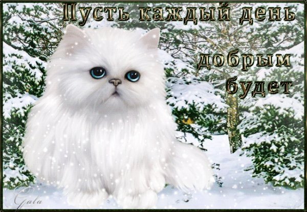 Пусть каждый день счастливым будет