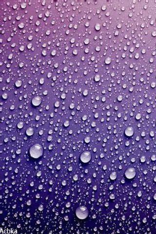 file_81074089