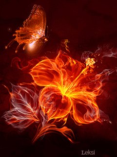 file_55208289