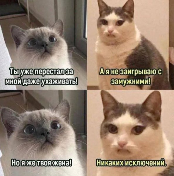 FB IMG 1752834597467
