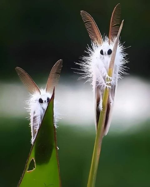 file_100180063