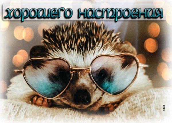 -xorosego-nastroeniya-142588