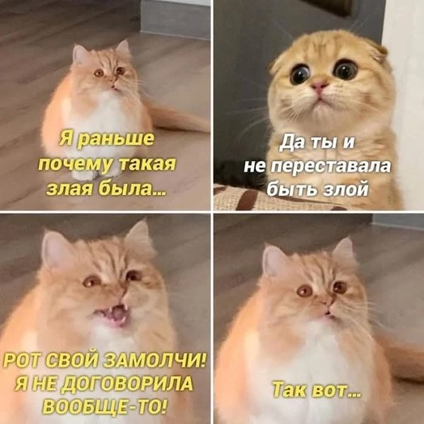 FB IMG 1752834803217