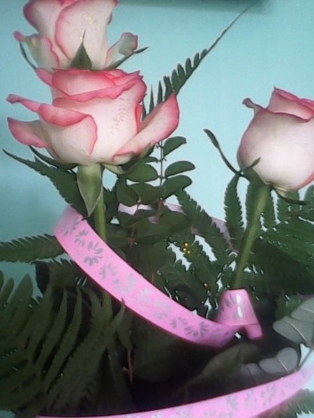 IMG 20150731 135851