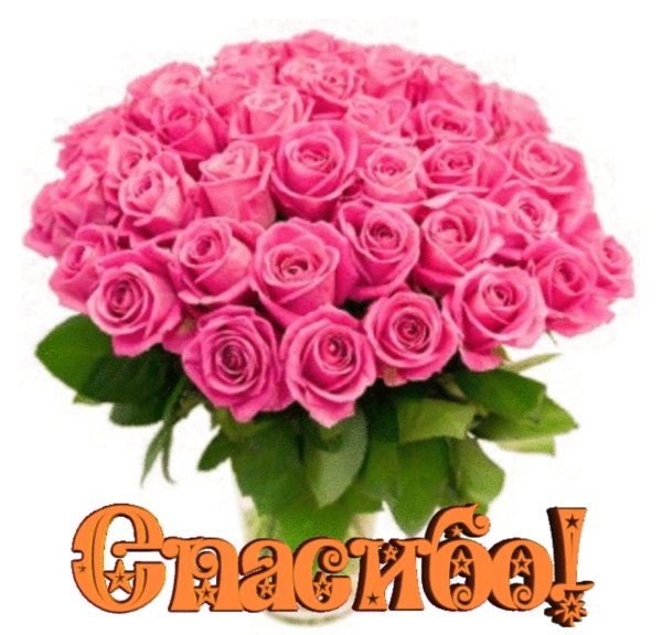 file_100179657