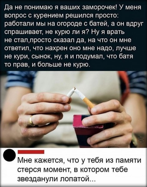 YZKV QziY8-