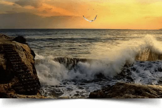 IMG 20190210 094036