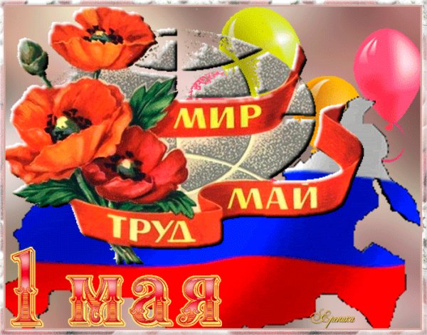 IMG 20240501 221208