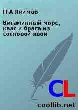 Витаминный морс квас и брага из сосновой хвои