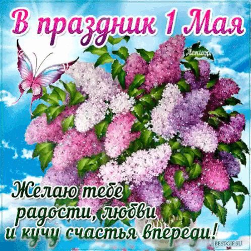 IMG 20240501 154244