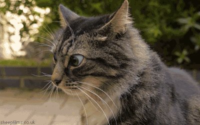 Взгляд