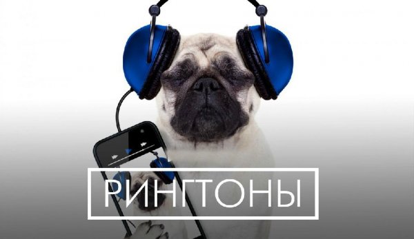 (Рингтон) Ваня крут