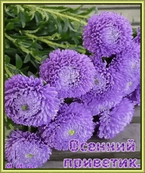 file_79243451
