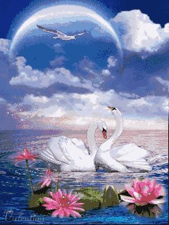 file_58072450