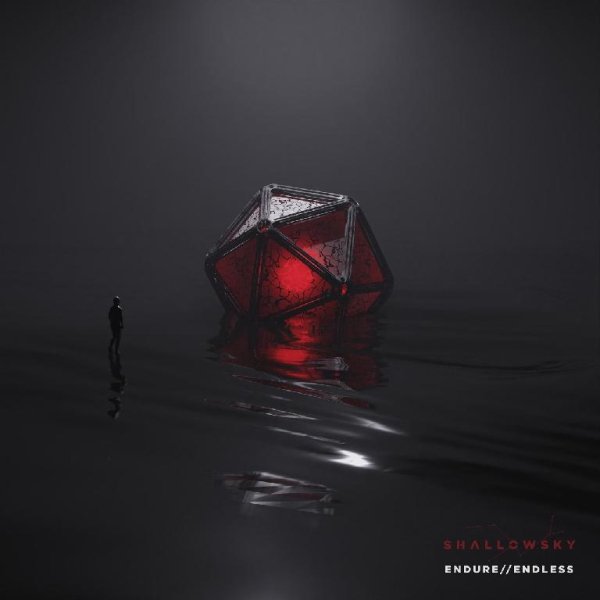 Shallowsky - endure//endless