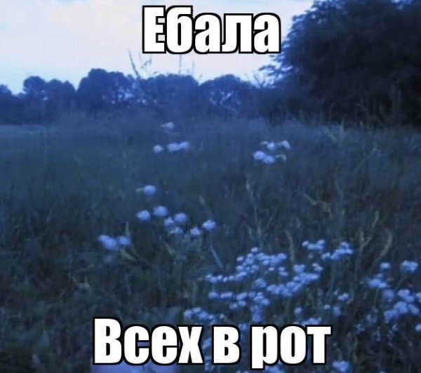 Заебали