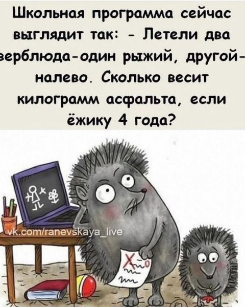 picture_373344264
