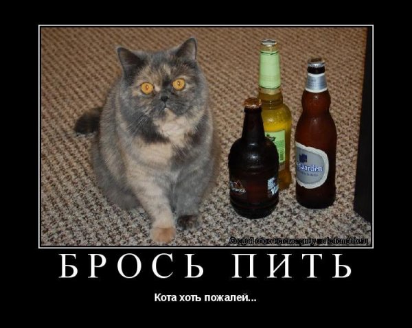 picture_388863392