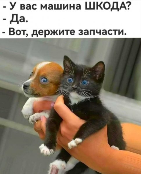 picture_392767095