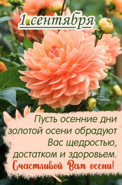 IMG-20200901-WA0000